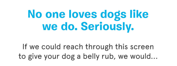 Barkbox welcome email