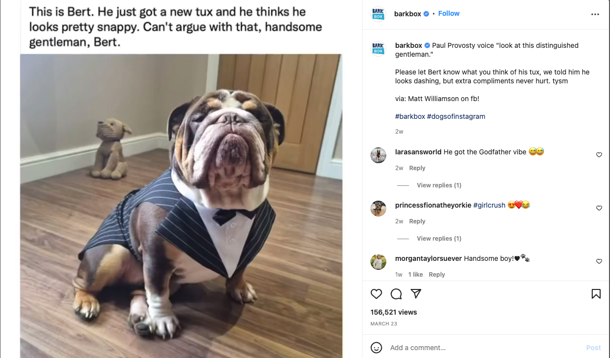 An example of comments on a fun Barkbox post of a bulldog posed in a tuxedo, including someone saying "handsome boy!"